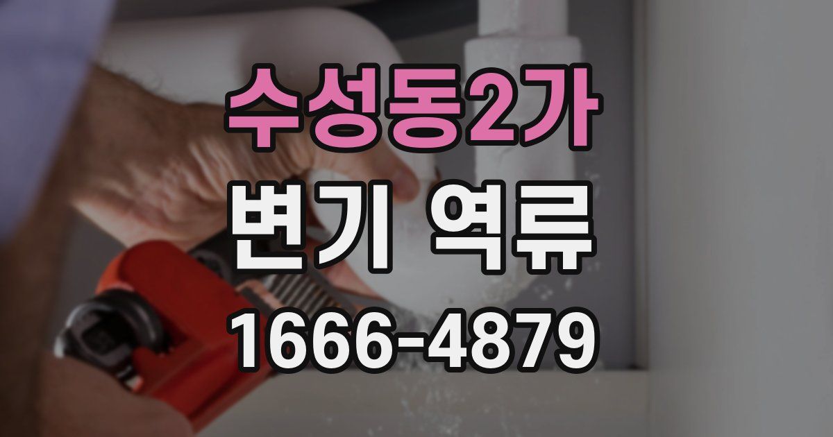 수성동2가 변기 역류