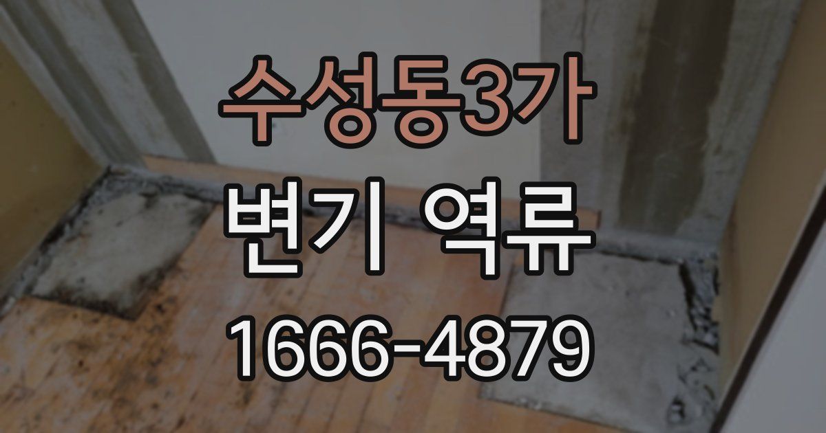 수성동3가 변기 역류