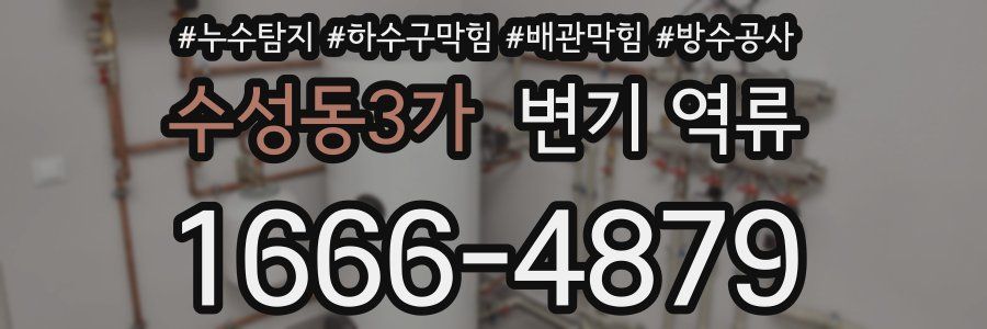 수성동3가 변기 역류