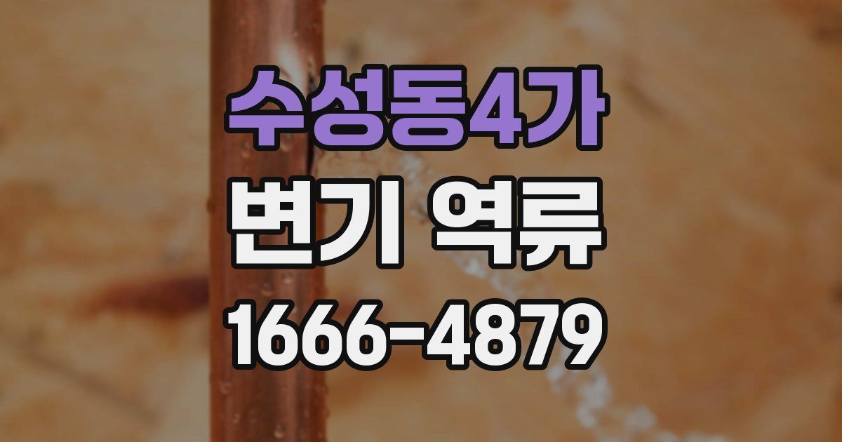 수성동4가 변기 역류