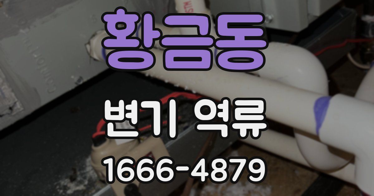 황금동 변기 역류