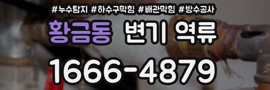 황금동 변기 역류