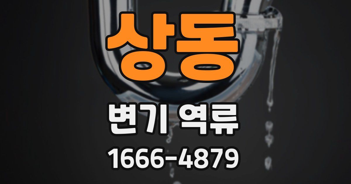상동 변기 역류