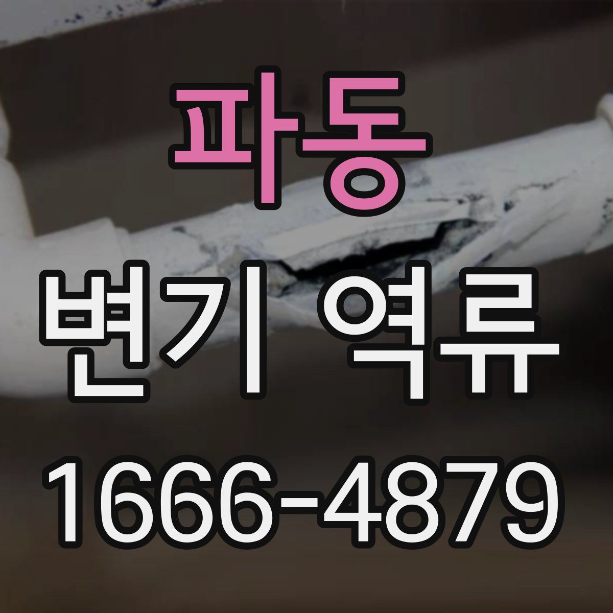 파동 변기 역류