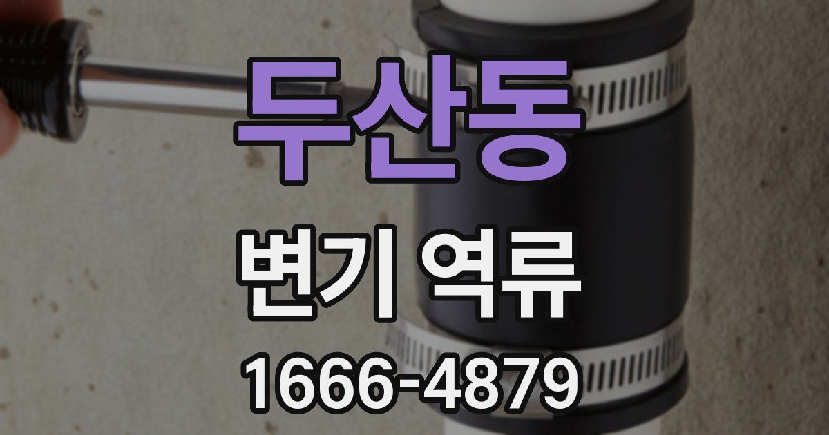 두산동 변기 역류