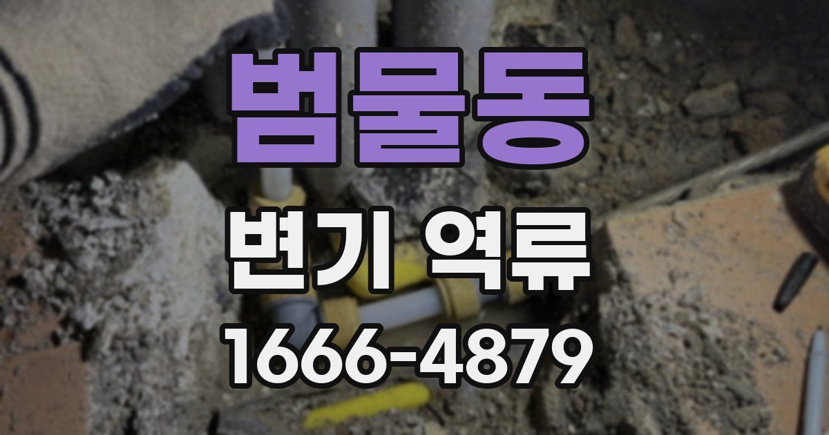 범물동 변기 역류