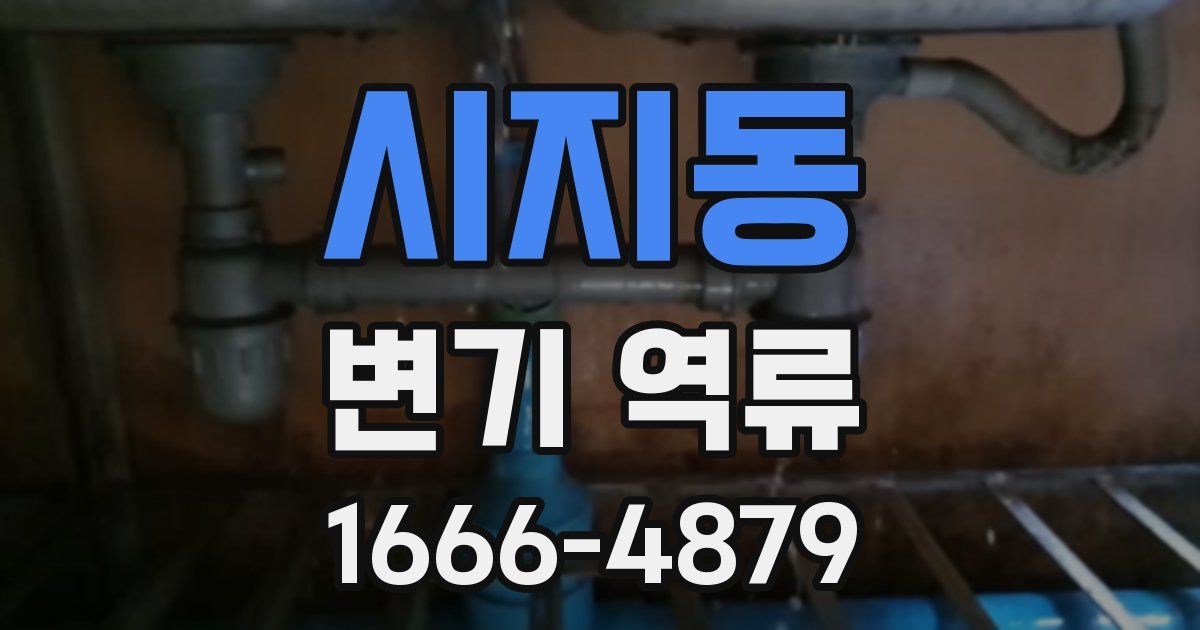 시지동 변기 역류