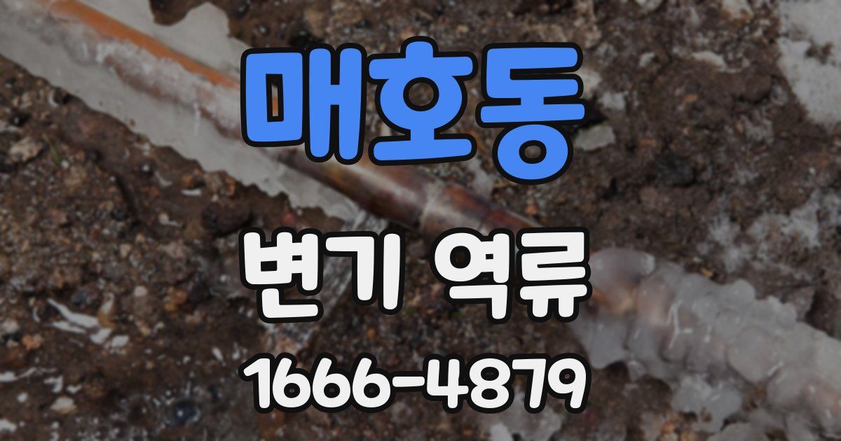 매호동 변기 역류