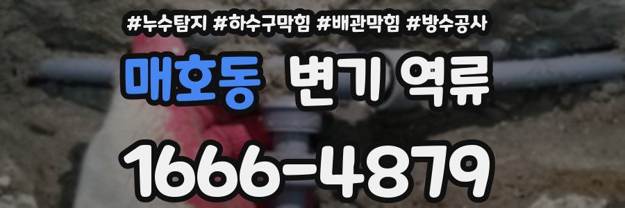 매호동 변기 역류