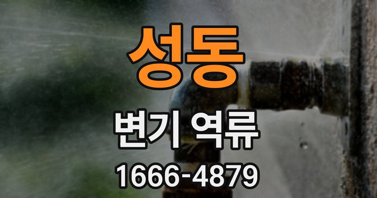 성동 변기 역류