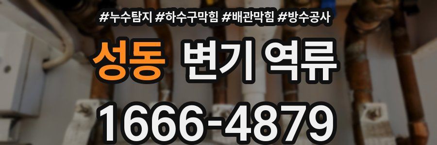 성동 변기 역류