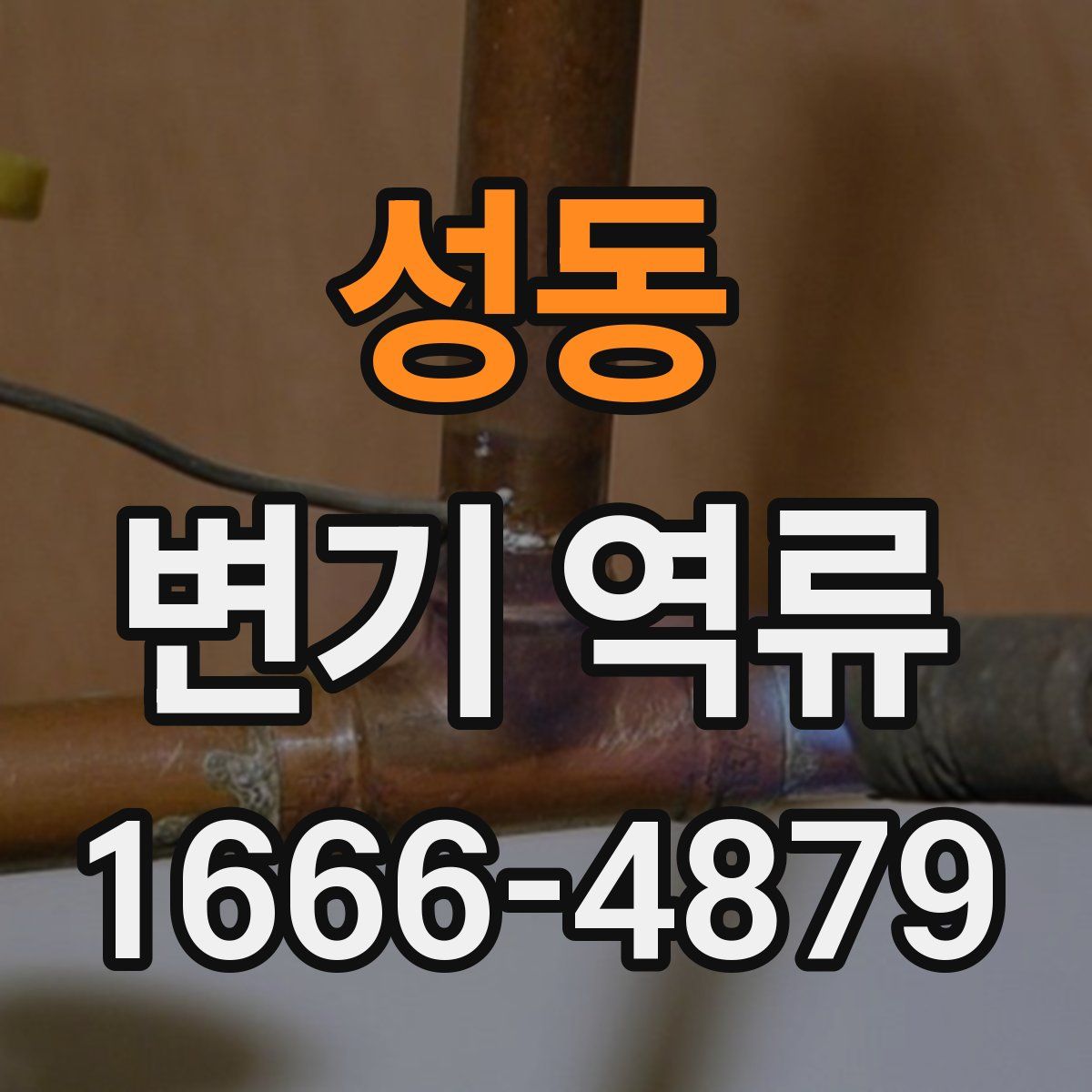 성동 변기 역류