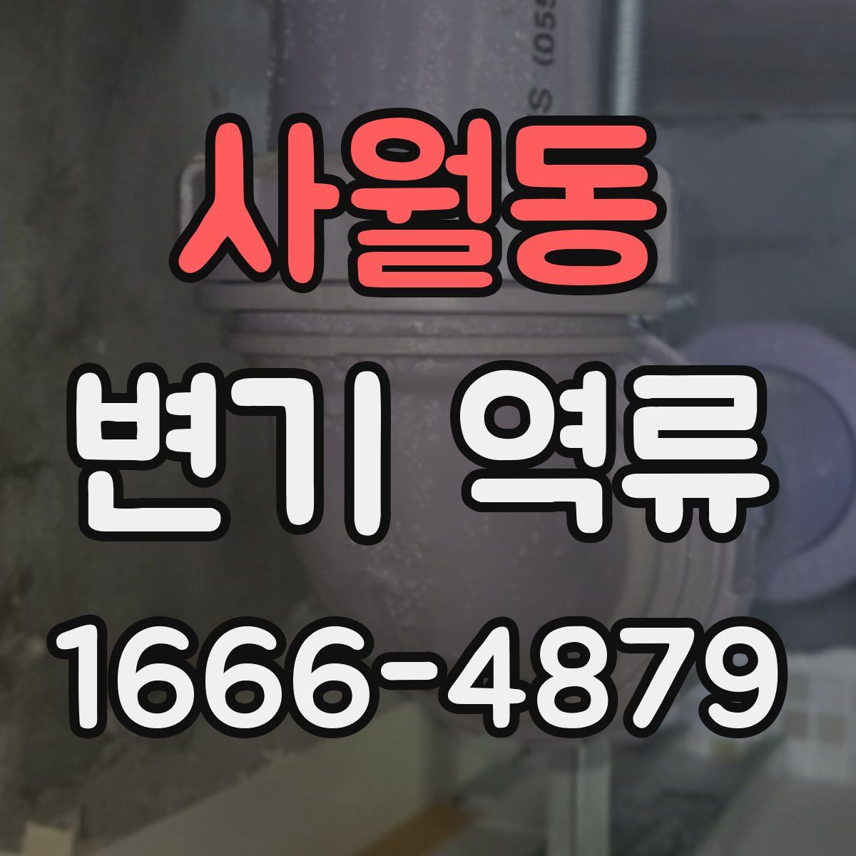 사월동 변기 역류