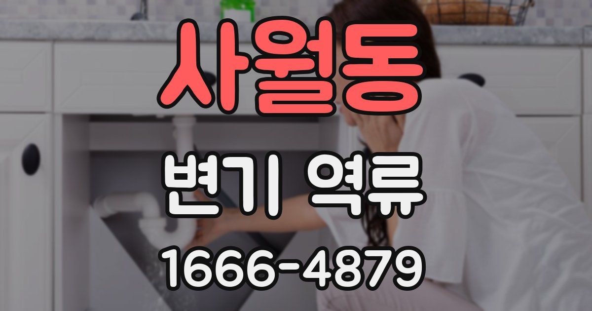 사월동 변기 역류