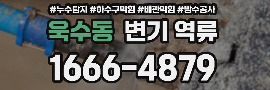 욱수동 변기 역류