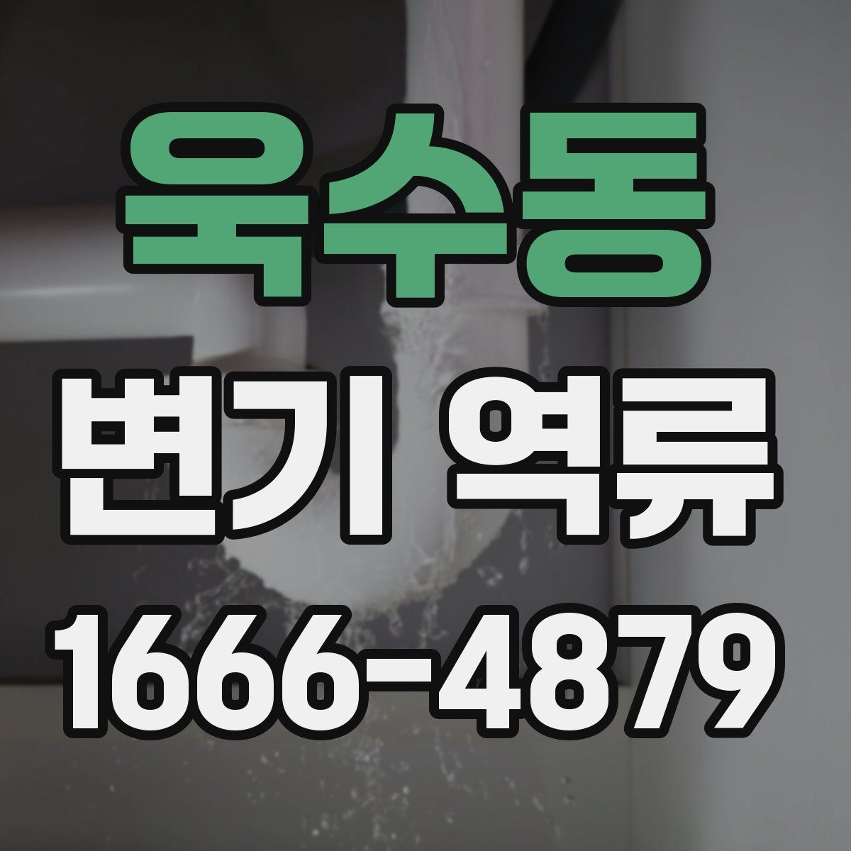욱수동 변기 역류