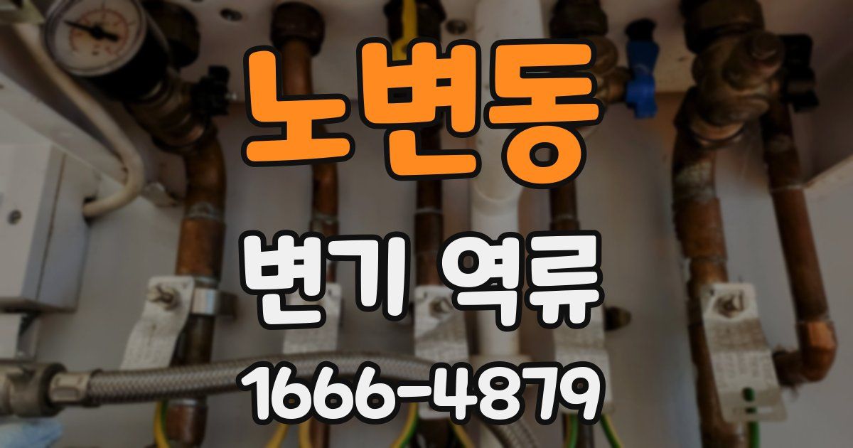 노변동 변기 역류