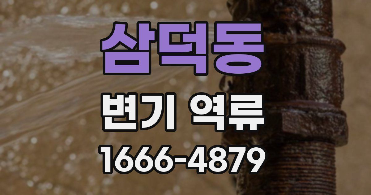 삼덕동 변기 역류