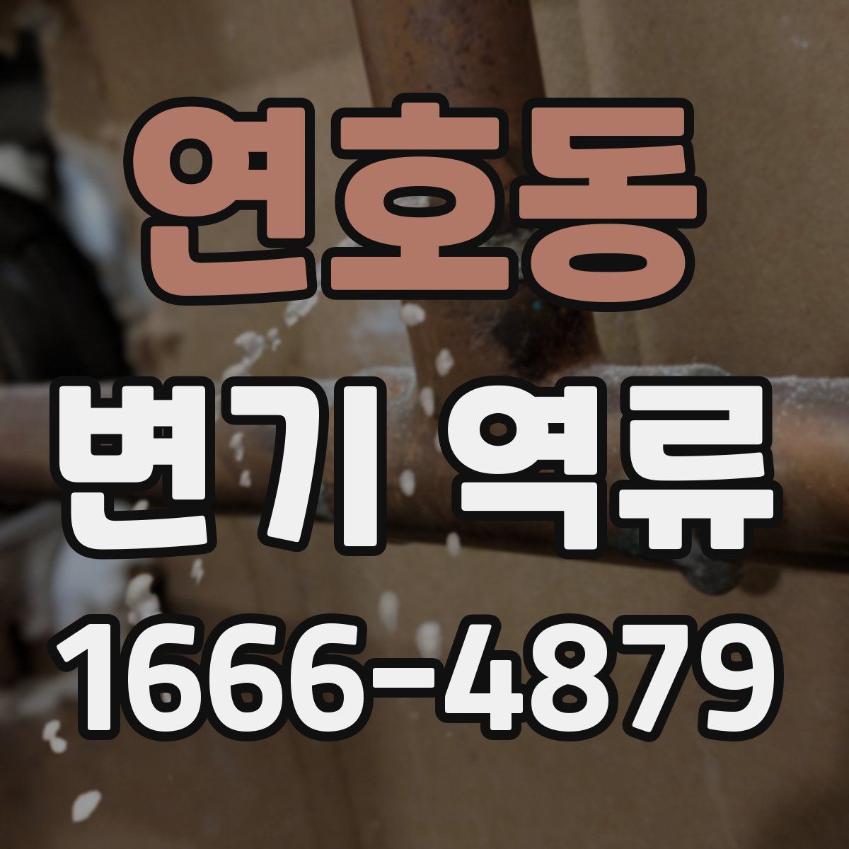 연호동 변기 역류