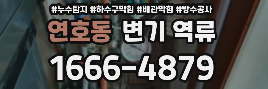 연호동 변기 역류