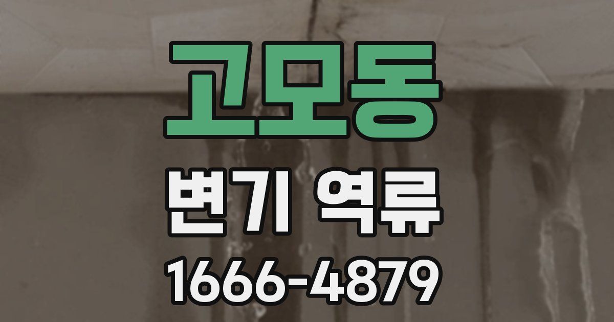 고모동 변기 역류