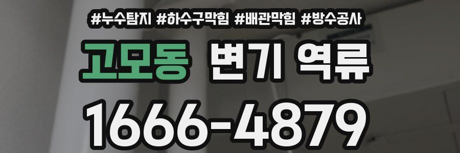 고모동 변기 역류