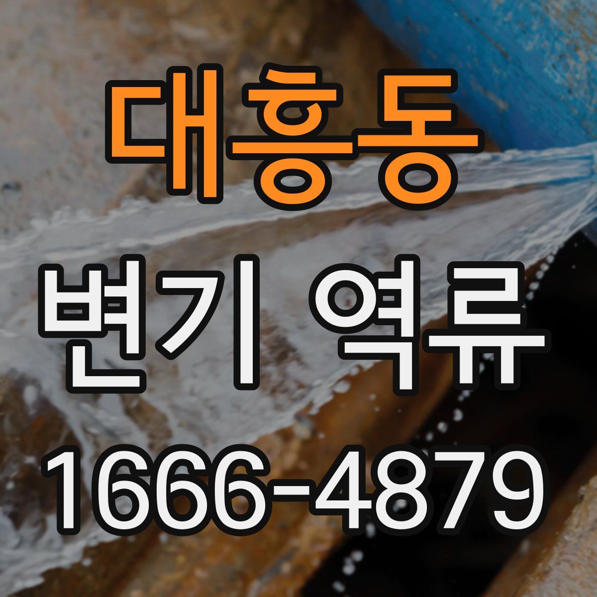 대흥동 변기 역류