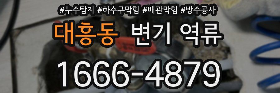 대흥동 변기 역류