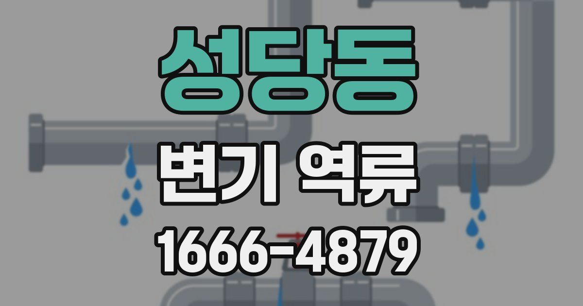 성당동 변기 역류