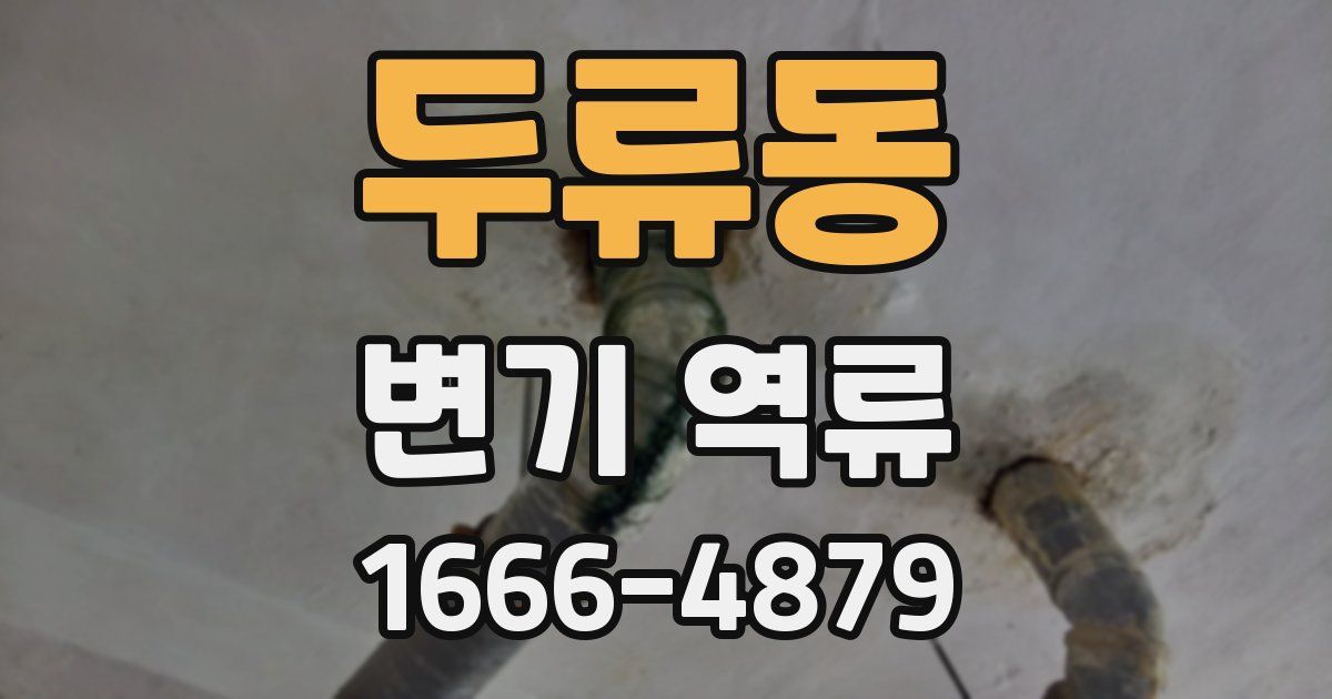 두류동 변기 역류