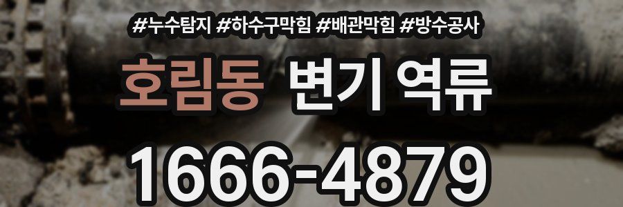호림동 변기 역류
