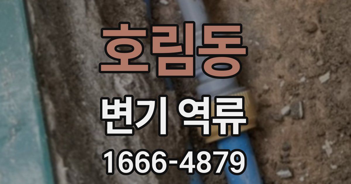 호림동 변기 역류