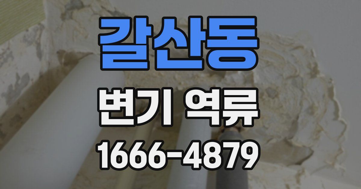 갈산동 변기 역류