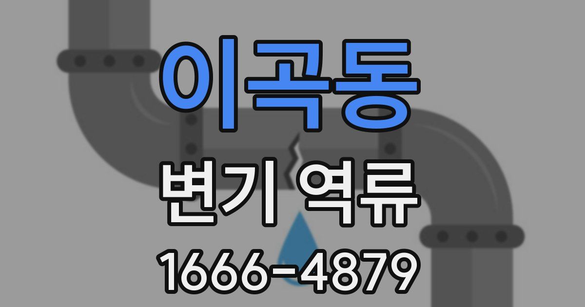 이곡동 변기 역류
