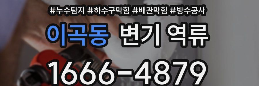 이곡동 변기 역류