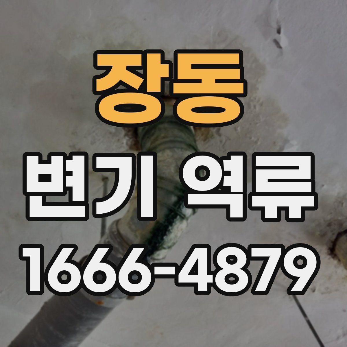 장동 변기 역류