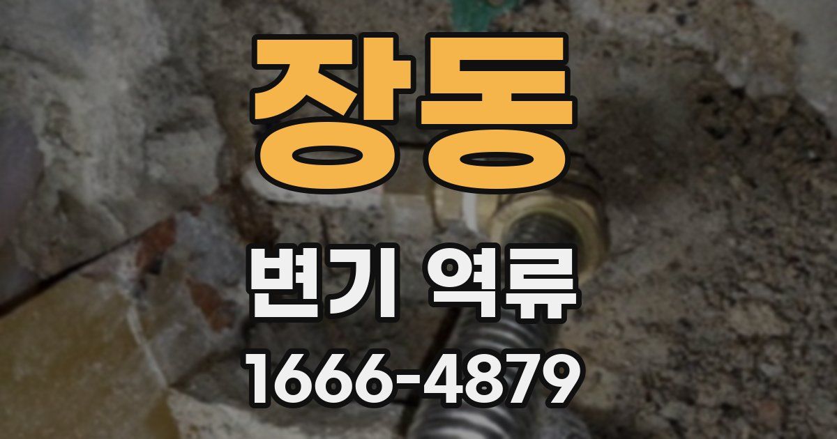 장동 변기 역류