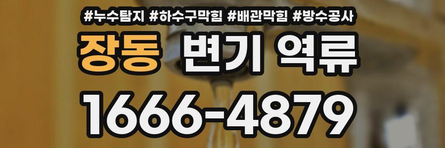 장동 변기 역류