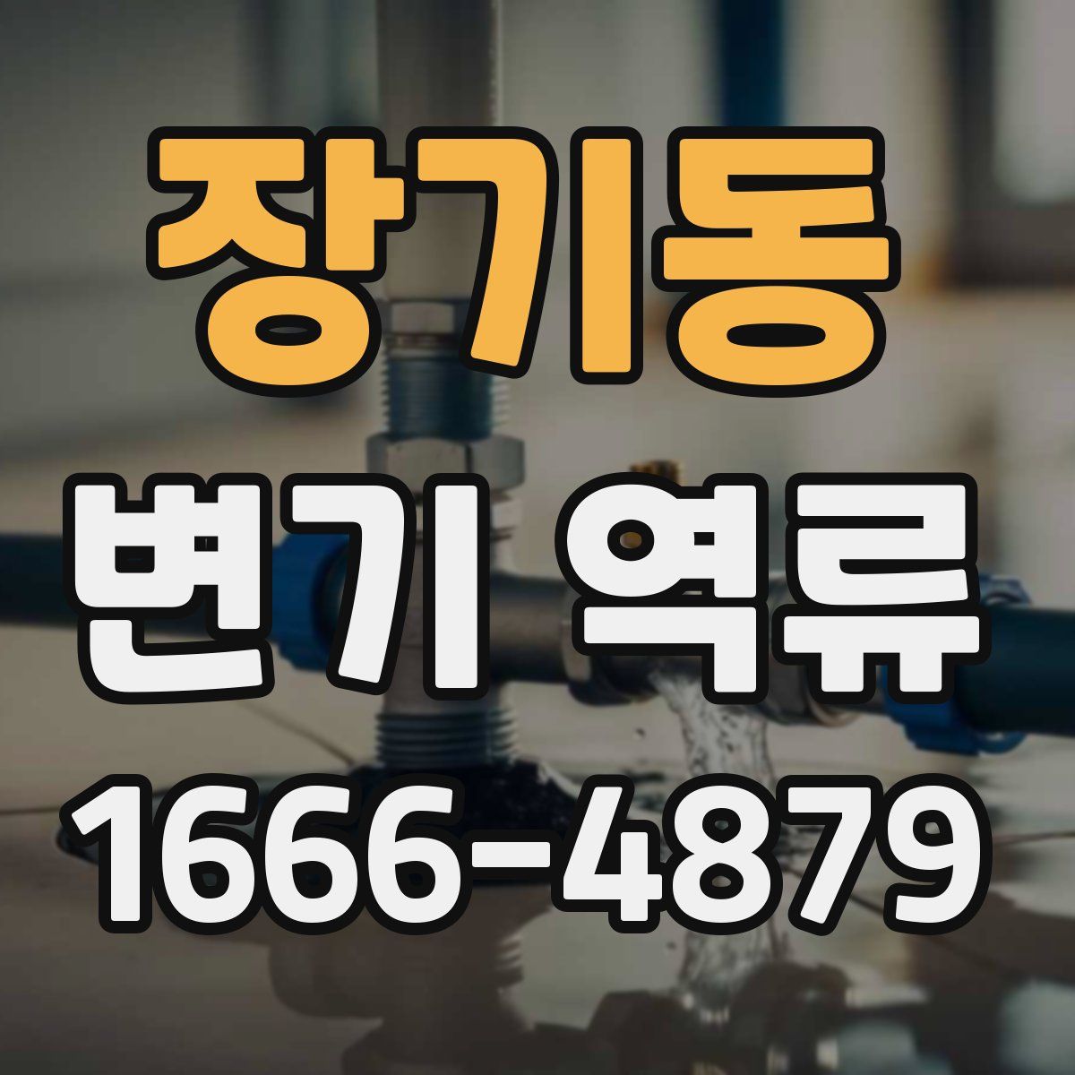 장기동 변기 역류