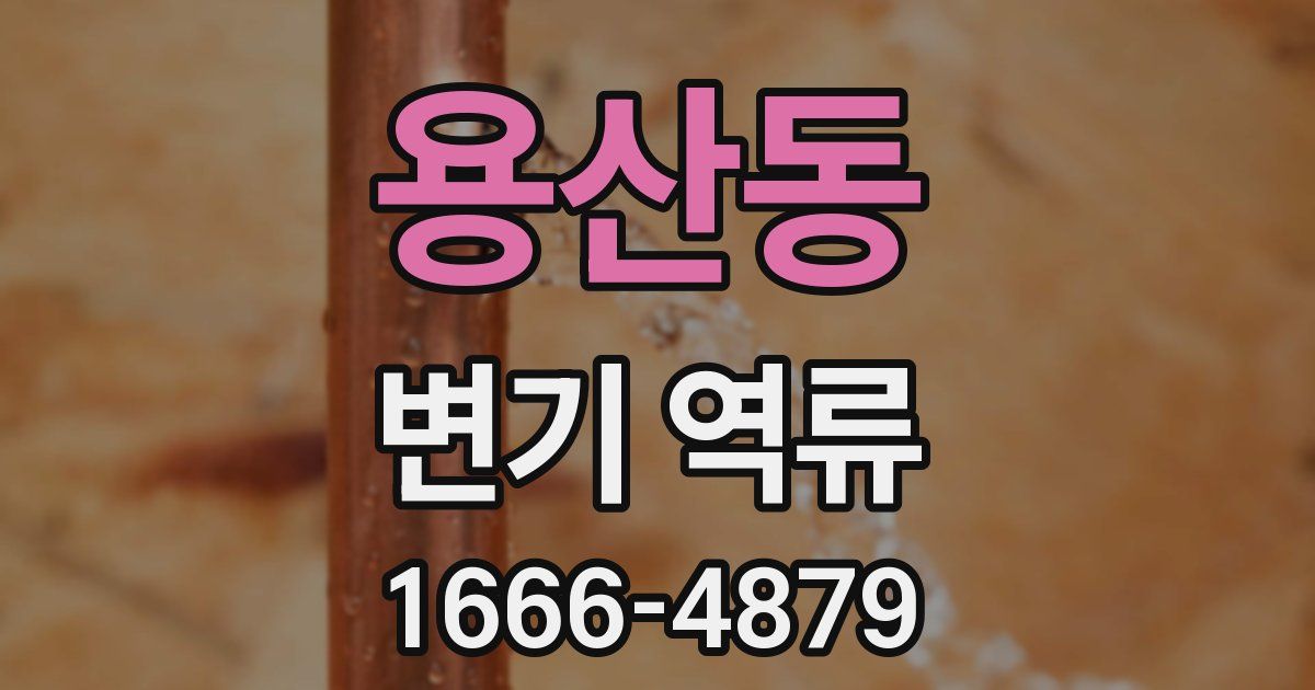 용산동 변기 역류