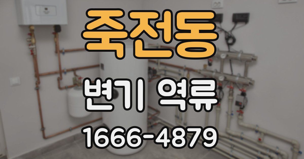 죽전동 변기 역류