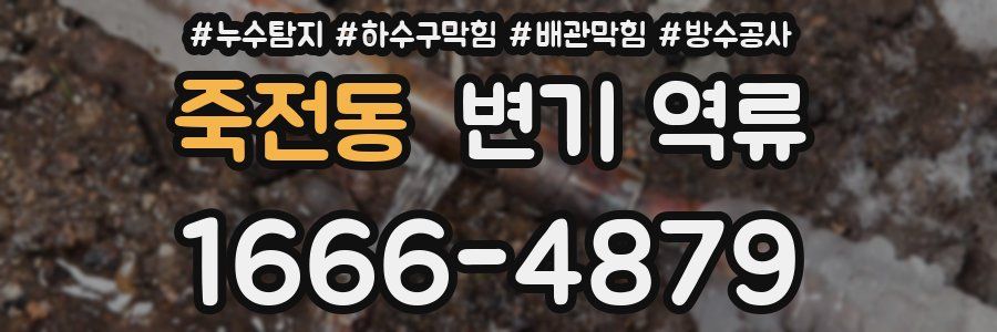 죽전동 변기 역류