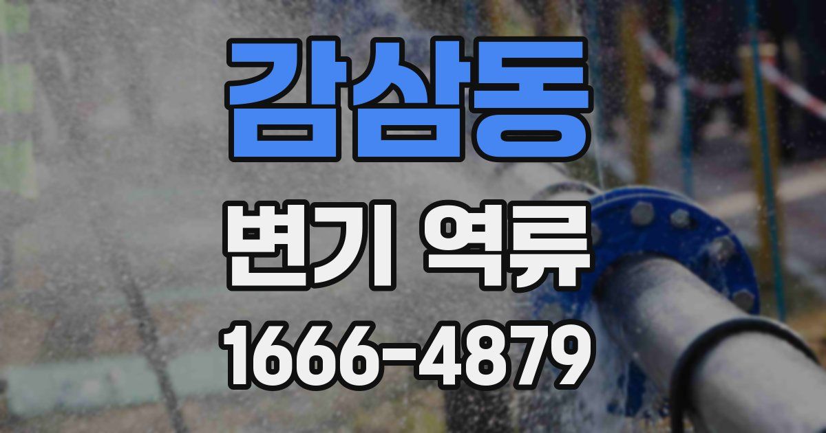 감삼동 변기 역류