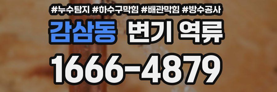 감삼동 변기 역류