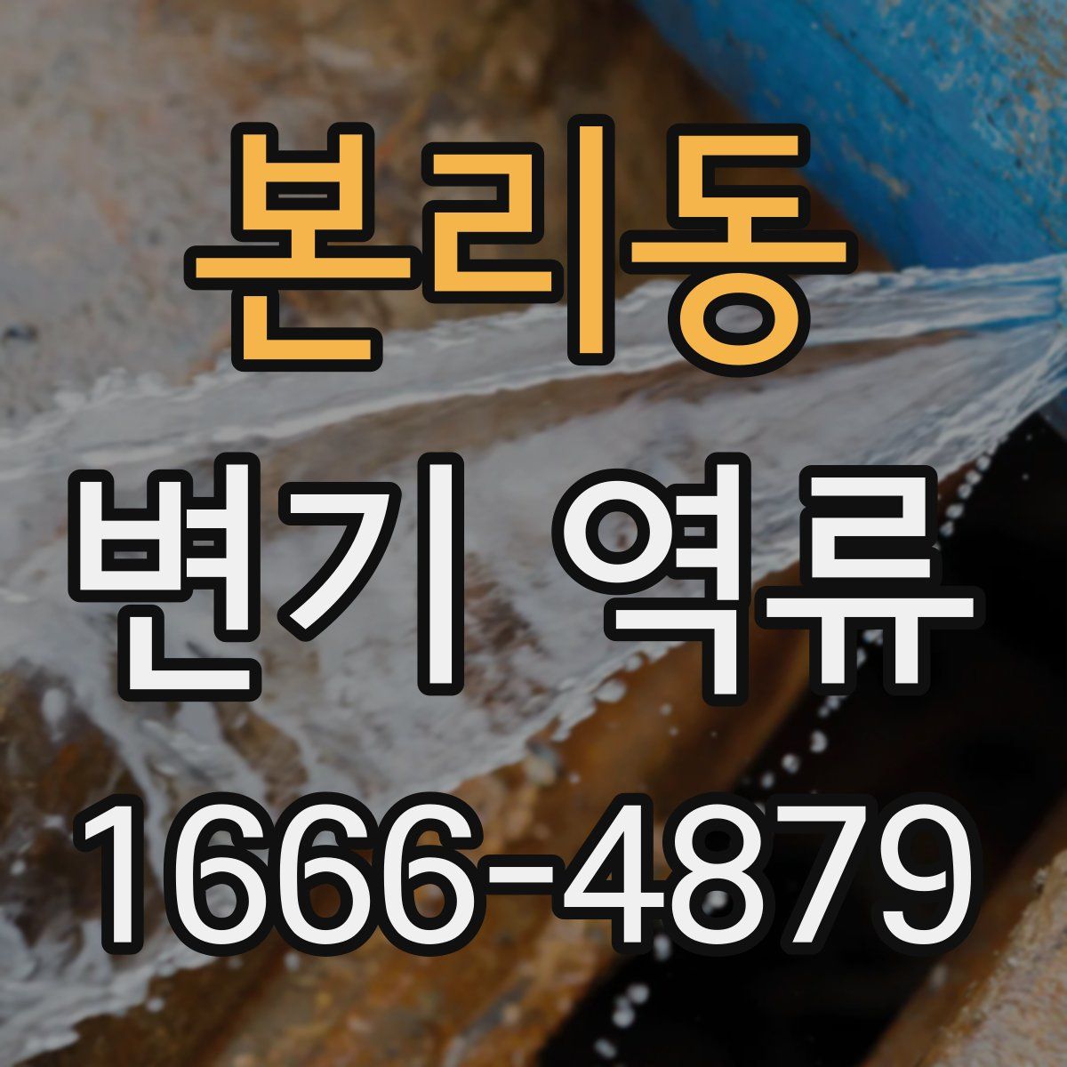 본리동 변기 역류