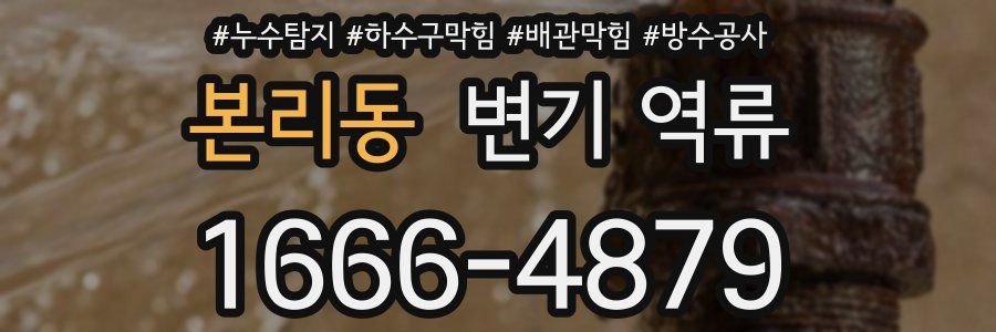 본리동 변기 역류