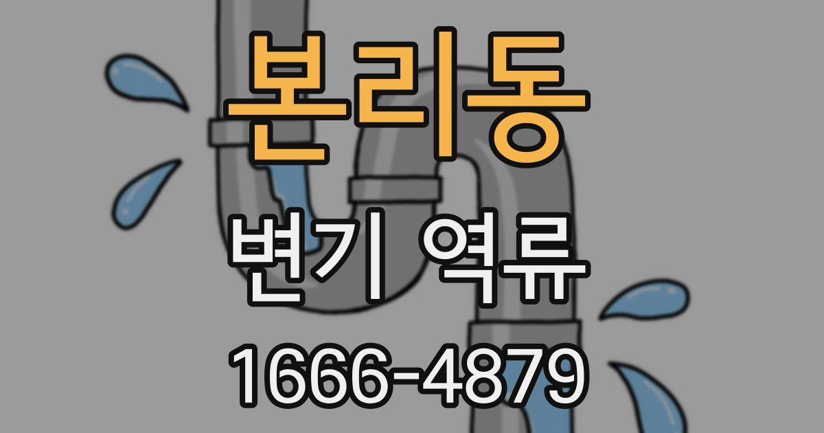 본리동 변기 역류