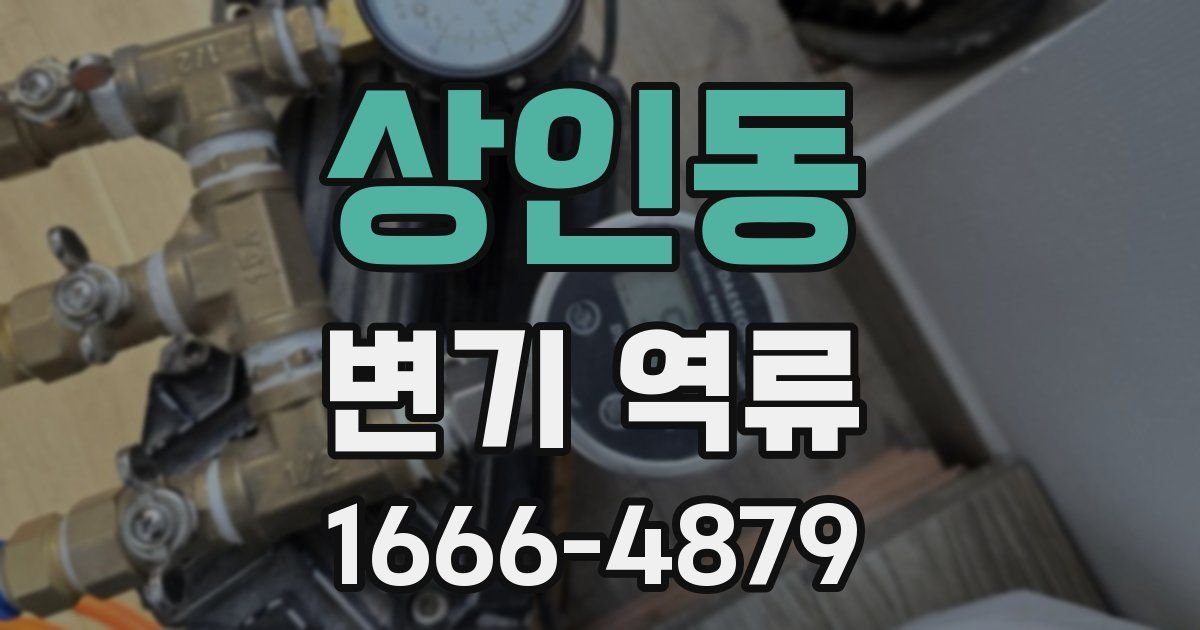 상인동 변기 역류