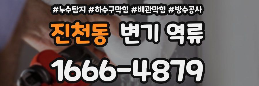 진천동 변기 역류