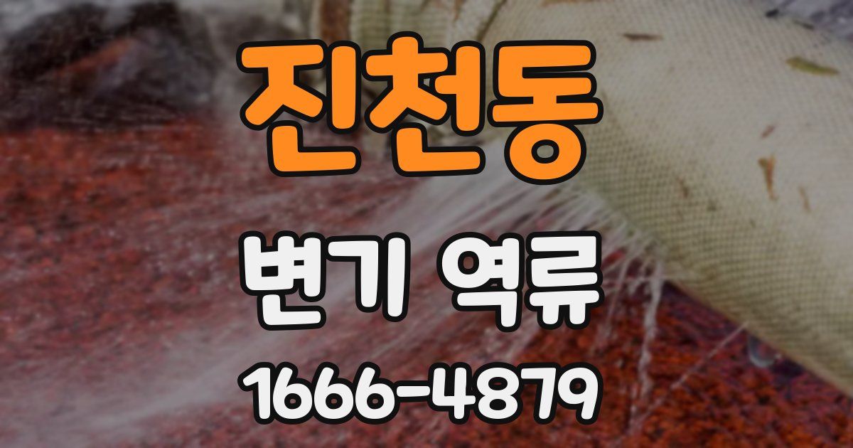 진천동 변기 역류